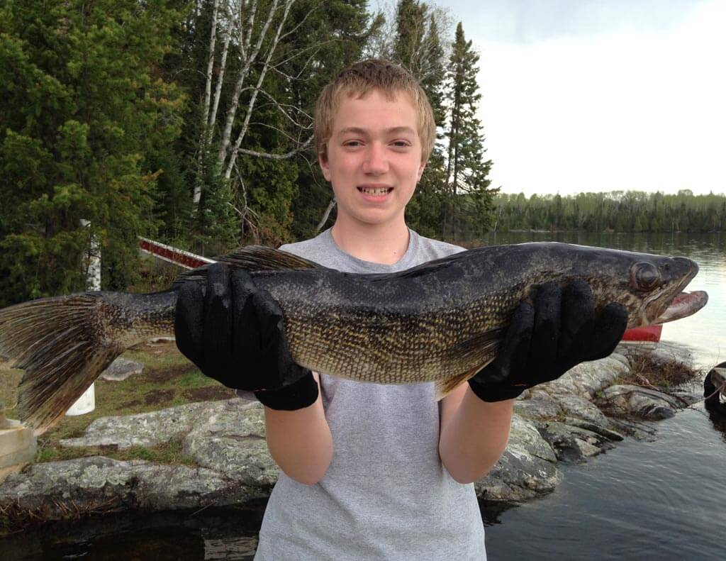 ontario trophy walleye